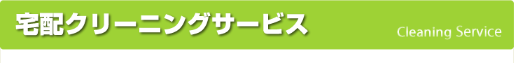 宅配クリーニングサービス